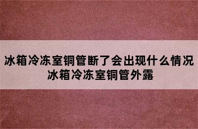 冰箱冷冻室铜管断了会出现什么情况 冰箱冷冻室铜管外露